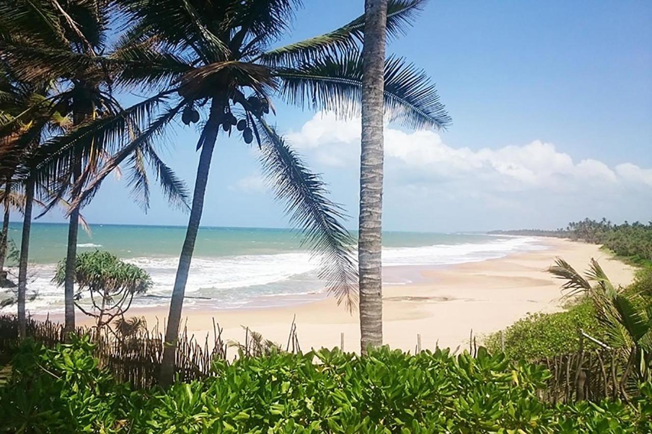 Turtle Bay Boutique Hotel