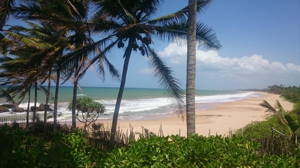 Hotel Turtle Bay Boutique Tangalle